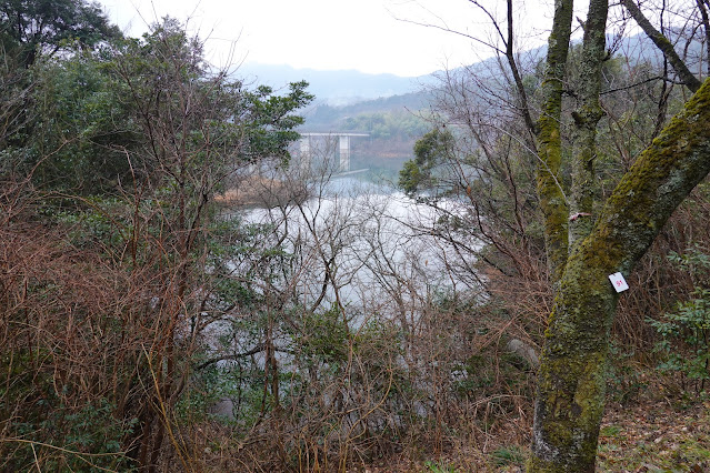 鳥取県西伯郡南部町下中谷 緑水湖