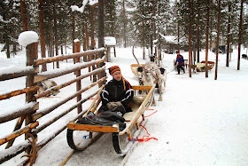 Sami Reindeer Herder Finland