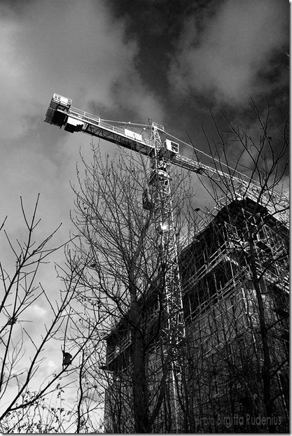 bw_20121122_workhigh