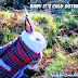 Bunny Meme Baby its Cold Outside!