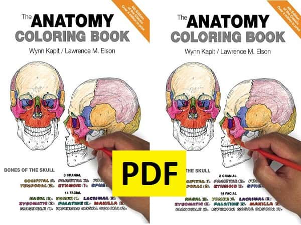 Download The Anatomy Coloring Book PDF Ebook | BooksDoctor