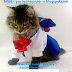 ✔ The BEST Ropa Buzo Vestido Perro Gato Mascota  Anime  - ➤ 2020