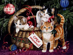 Free Christmas Cat Wallpapers