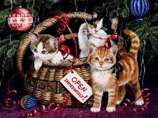 Free Christmas Cat Wallpapers