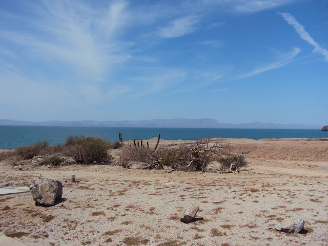 Playas de Bahía Kino 