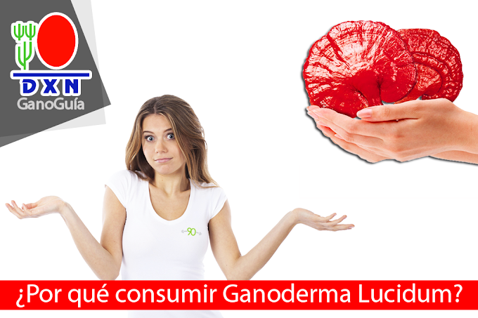 ¿Por qué Consumir el Ganoderma Lucidum?