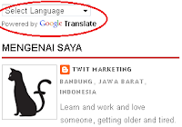 google-translator