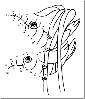 dot-8