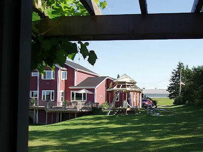 This is a nice cool place to watch Hubby slaving away in the hot sun on the gazebo roof.