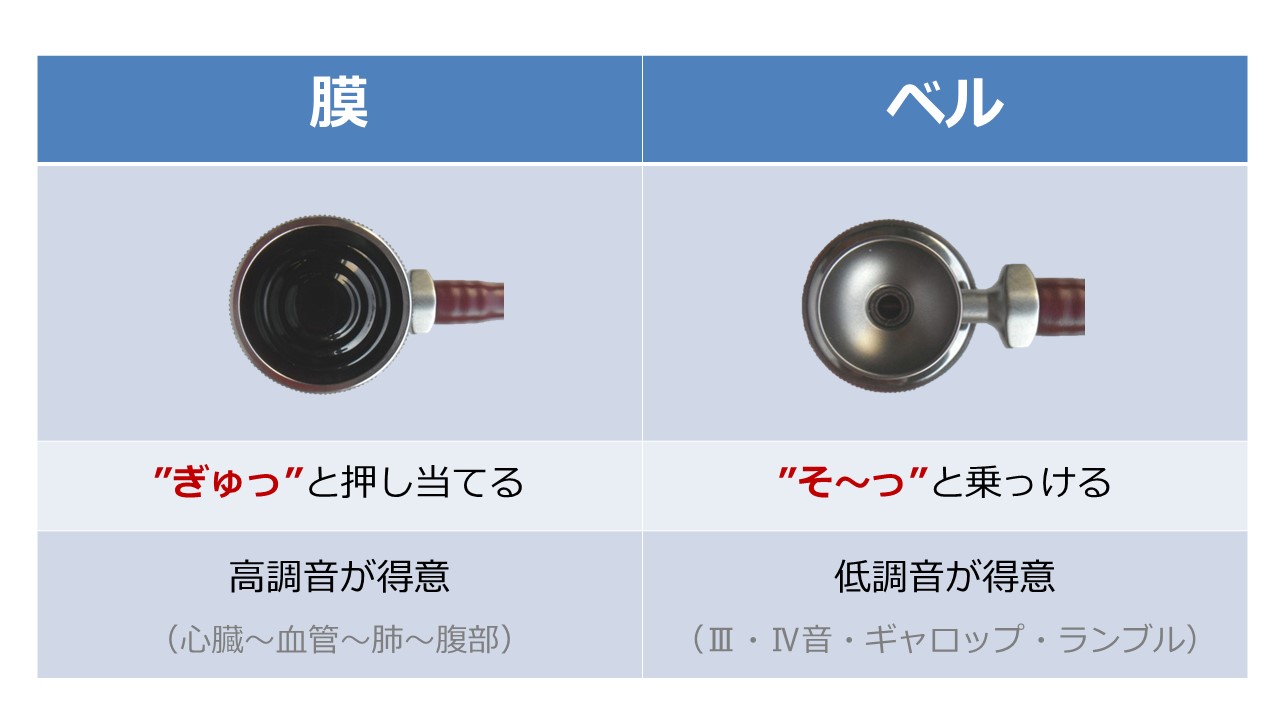 松下 Er ランチ カンファレンス 聴診器のおさらい