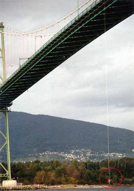 Bridge Jumper1