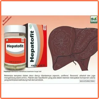 HEPATOFIT kapsul obat herbal Hepatitis