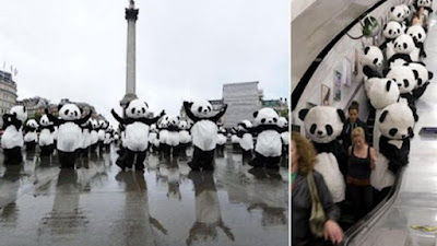 Panda Menari Tai Chi di London