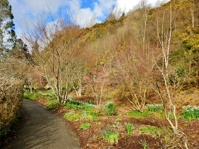 Wildness at Eden Project, Cornwall