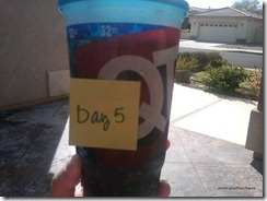 day5