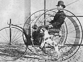 Dogs Powering Tricycles