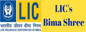 LIC Bima Shree Policy | Features & Benefits