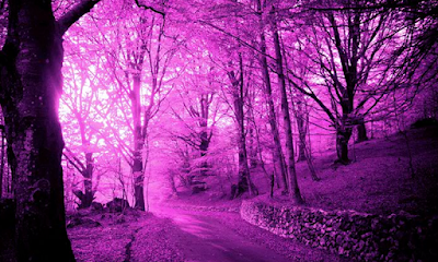 Pink Forest Escape