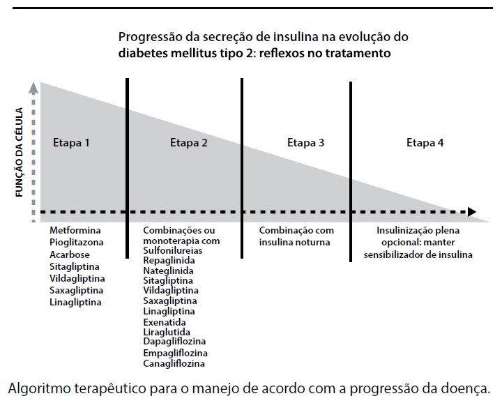 Resistencia A Insulina Sobre Os Medicamentos Utilizados No