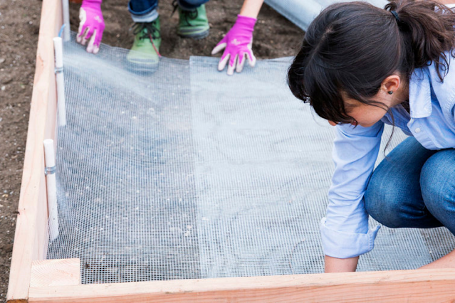 Build a Raised Bed Garden