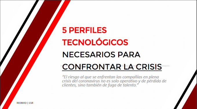 5 Perfiles Tecnológicos Necesarios para Confrontar la crisis
