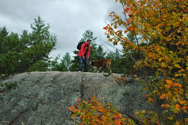 Keira's Provincial Park dog tours: High Falls, Algonquin Park, Ontario Canada