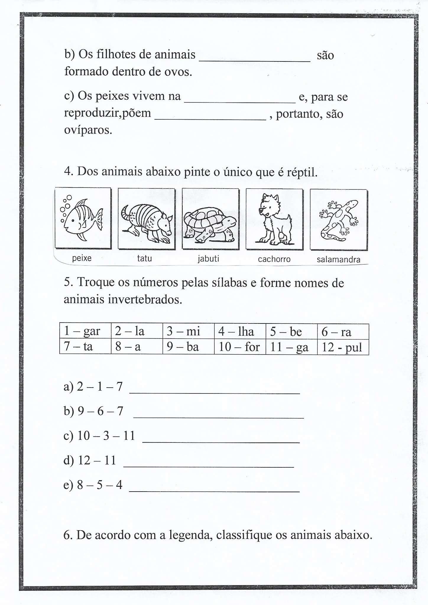 Atividade de Ciências: classificação dos animais