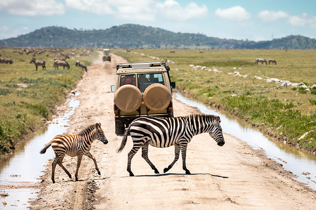1. Serengeti National Park