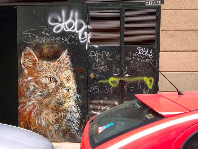 Parisian Stencil Artist C215 returns to Barcelona with a new series of Street Art Pieces. 3