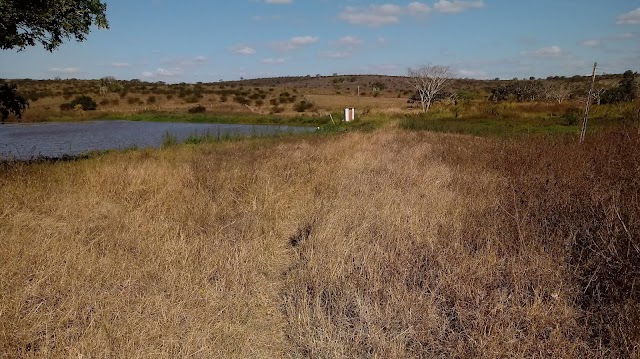 ONDE NASCE O RIO PARAÍBA DO MEIO (ASSISTA O VÍDEO)