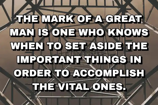 The mark of a great man is one who knows when to set aside the important things in order to accomplish the vital ones. Brandon Sanderson