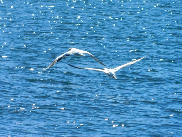 DSCN8339