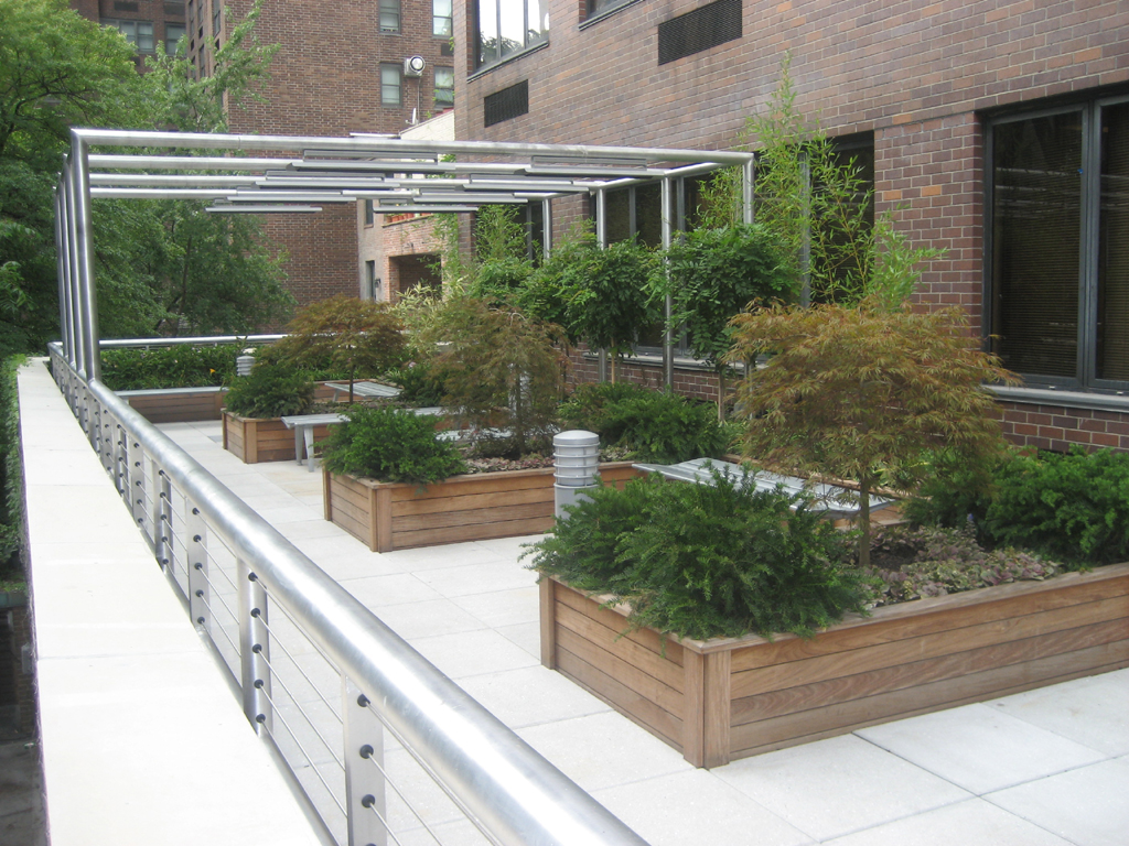 Roof Garden Design Ideas