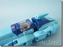 Blurr (21)