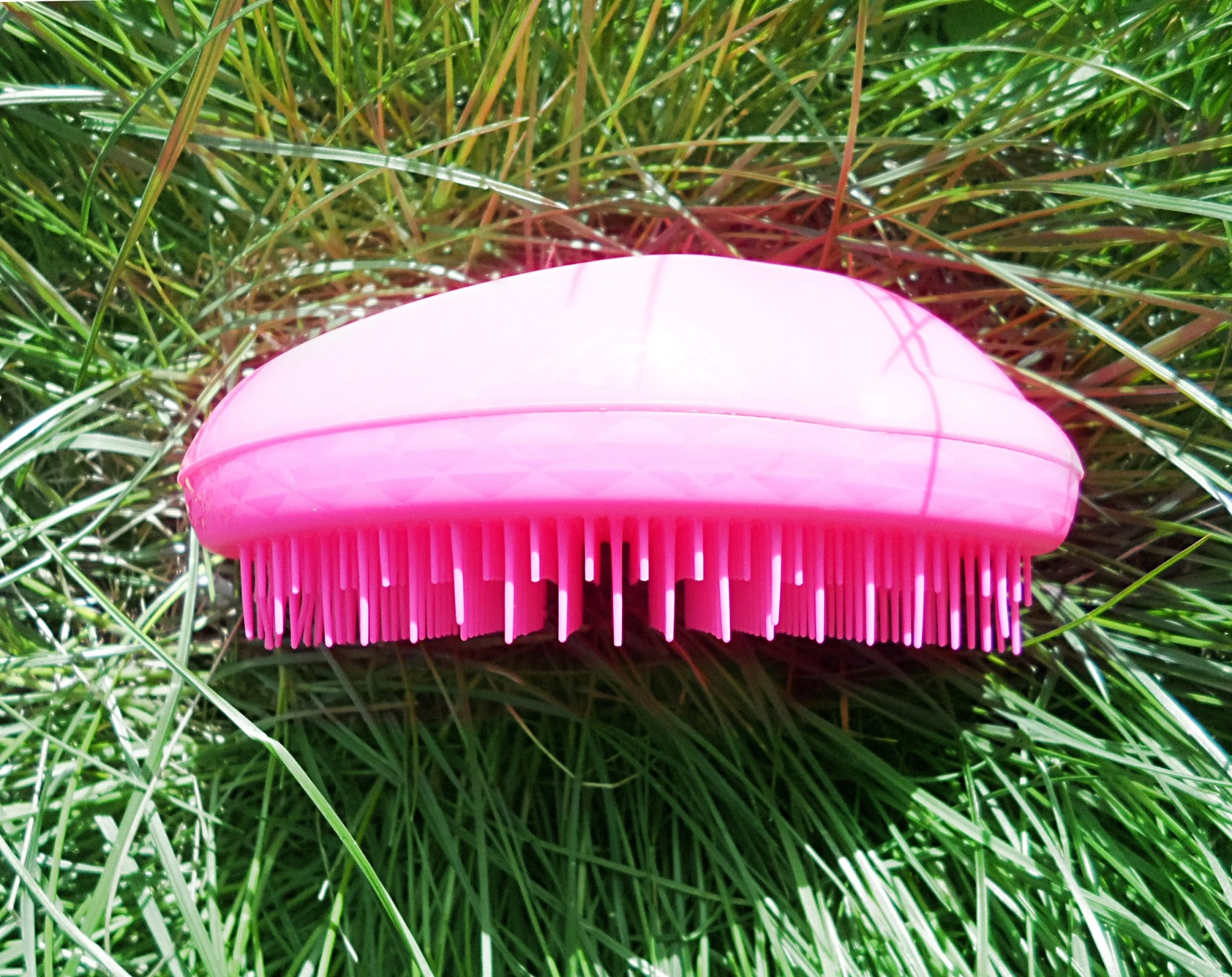 liz breygel blogger beauty review the original tangle teezer pink fizz review pictures buy online