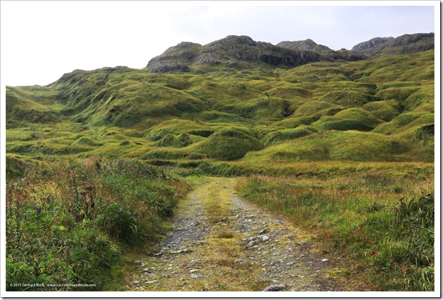 150908_Adak_FingerBay_road_past_creek_WM