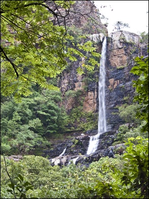 P1010318