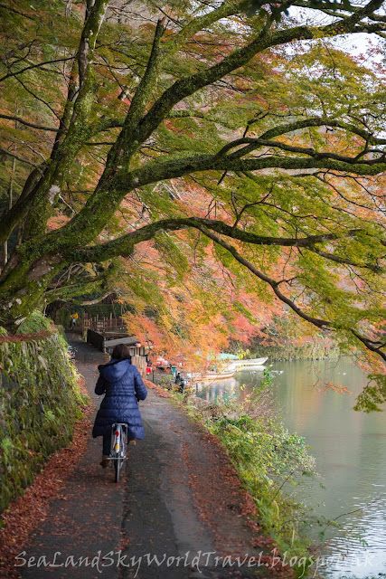 嵐山, 嵯峨野紅葉