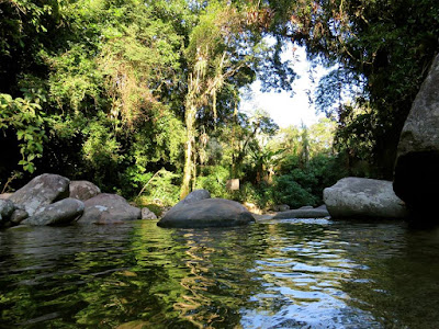 Lago com pedras e mata ao fundo