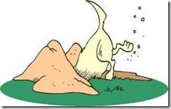 dog digging a hole