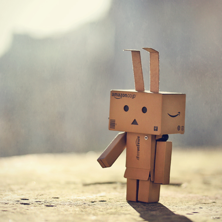 A Pic of Dunbo the name of my Danbo enjoying a warm Autumn sun danbo y domo