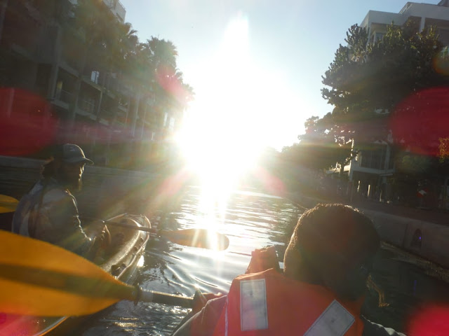 Kayaking during sunset - Cape Town