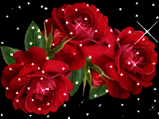 45 Gambar Bunga Mawar Animasi Bergerak Gambar Bunga Mawar