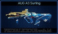 AUG A3 Surfing