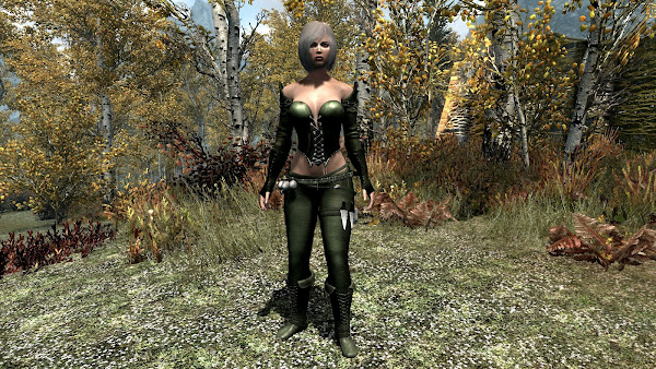 Custom armor for The Elder Scrolls V Skyrim