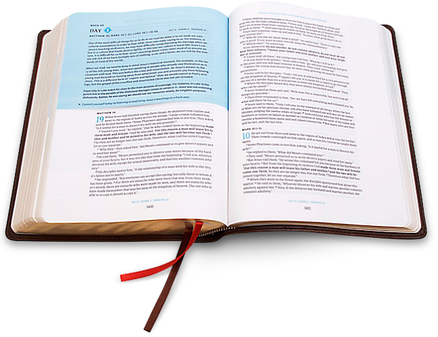 Day by Day Chronological Bible #ad #giveaway #csbBibleL3