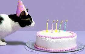 Happy cat with birthday cake