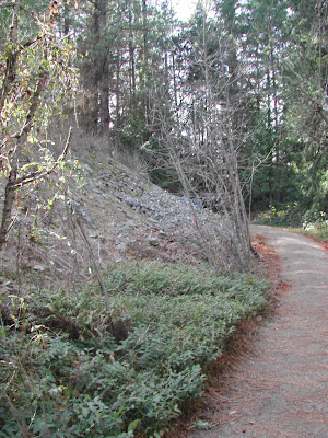 Gentle sloping trail.