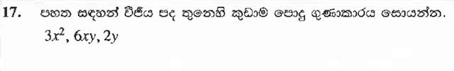 gce o/l maths 2019 past paper algebra question 17