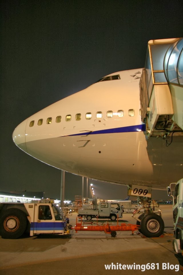 747 ANA ジャンボジェット 747-400D JA8099